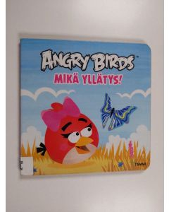 Kirjailijan Päivi Arenius käytetty kirja Mikä yllätys!