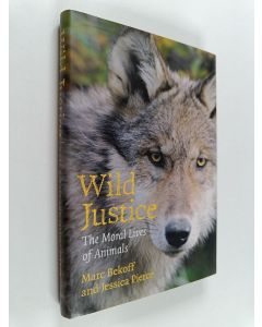 Kirjailijan Marc Bekoff käytetty kirja Wild justice : the moral lives of animals