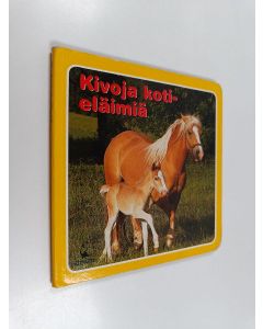 käytetty kirja Kivoja kotieläimiä (hevonen)