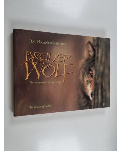 Kirjailijan Jim Brandenburg käytetty kirja Bruder Wolf - das vergessene Versprechen