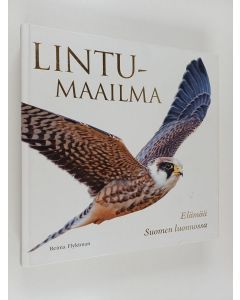 Kirjailijan Reima Flyktman käytetty kirja Lintumaailma : Elämää Suomen luonnossa