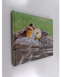 Kirjailijan Sybille Kalas käytetty kirja Pikkuhanhen kesä