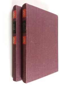 Kirjailijan Charles Dickens käytetty kirja Loistava tulevaisuus 1-2