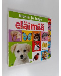 Kirjailijan Joanna Bicknell käytetty kirja Pieniä ja isoja eläimiä