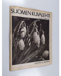 käytetty teos Suomen kuvalehti 18/1966