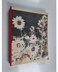 Kirjailijan Janet Lederman käytetty kirja Gazebo school