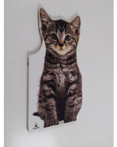 Kirjailijan Steve Shott käytetty kirja Kissanpentu