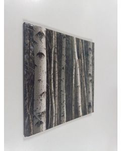 käytetty kirja Helsinki - for European cultural capital year 2000