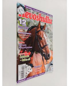 käytetty teos Hevoshullu 8/2019