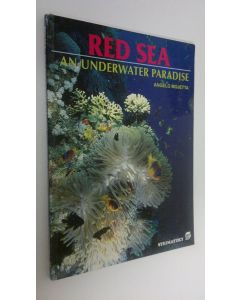 Kirjailijan Angelo Mojetta käytetty kirja Red Dea : an underwater paradise