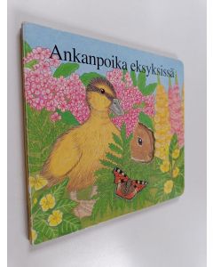 Kirjailijan Debora Burr käytetty kirja Ankanpoika eksyksissä