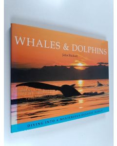 Kirjailijan John Birdsall käytetty kirja Whales & dolphins : Whales and dolphins