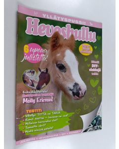 käytetty teos Hevoshullu 1/2021