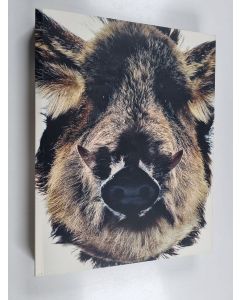 käytetty kirja Revelations : the 11 years of Taivas