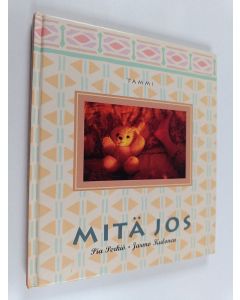 Kirjailijan Pia Perkiö käytetty kirja Mitä jos