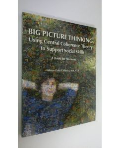 Kirjailijan Aileen Zeitz Collucci käytetty kirja Big Picture Thinking : Using central coherence theory to support social skills (ERINOMAINEN)