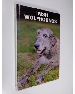 Kirjailijan Beverly Pisano käytetty kirja Irish Wolfhounds