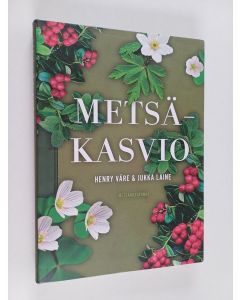 Kirjailijan Henry Väre käytetty kirja Metsäkasvio