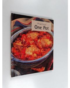 käytetty kirja Practical One Pot