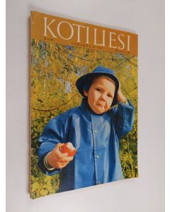 käytetty teos Kotiliesi 20/1965