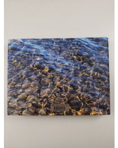 Tekijän Yrjö ym. Sepänmaa  käytetty kirja Vesi vetää puoleensa