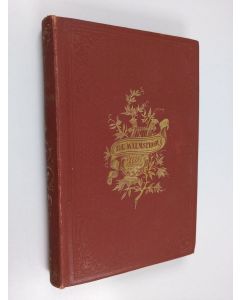 Kirjailijan Bernhard Elis Malmström käytetty kirja Dikter