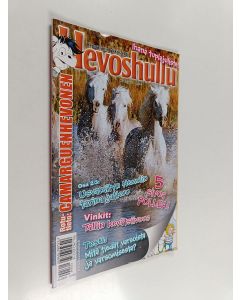 käytetty teos Hevoshullu 9/2013