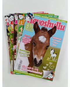 käytetty teos Hevoshullu 8-13/2020