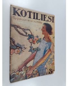 käytetty teos Kotiliesi n:o 17/1924