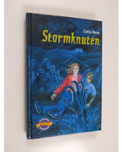 Kirjailijan Celia Rees käytetty kirja Stormknuten