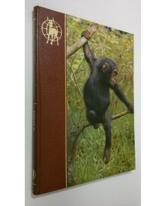 käytetty kirja Fauna villi eläinmaailma : Afrikka VI