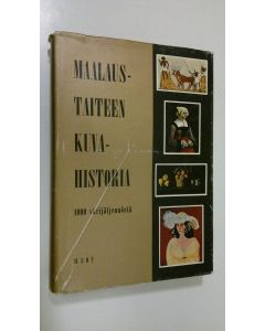 käytetty kirja Maalaustaiteen kuvahistoria luolamaalauksesta abstraktismiin : 1000 värikuvaa