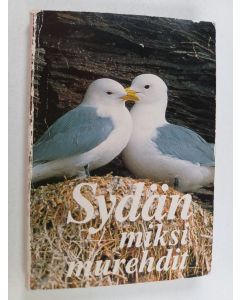 käytetty kirja Sydän, miksi murehdit
