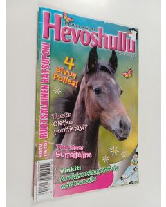 käytetty teos Hevoshullu 20/2013