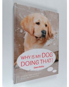 Kirjailijan Gwen Bailey käytetty kirja Why is my dog doing that? : understand your pet's puzzling behaviour