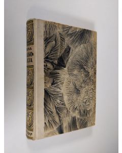 Kirjailijan Runa käytetty kirja Valkolilja