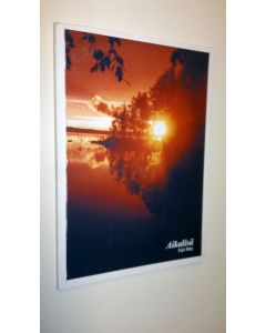 Kirjailijan Yrjö Räty käytetty kirja Aikalisä