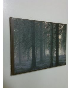 Kirjailijan Simo Hämäläinen käytetty kirja Ihmisten metsä