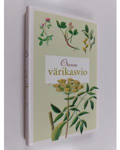 Kirjailijan Arto Kurtto käytetty kirja Otavan värikasvio