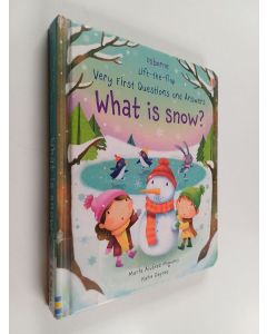 Kirjailijan Katie Daynes käytetty kirja What is snow?