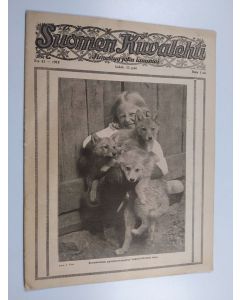 käytetty teos Suomen kuvalehti 41/1918