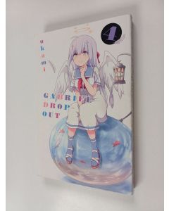 Kirjailijan Ukami käytetty kirja Gabriel Dropout 4