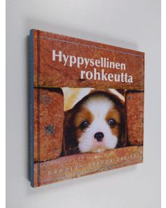 Kirjailijan Bradley Trevor Greive käytetty kirja Hyppysellinen rohkeutta