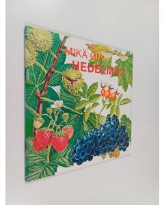 Kirjailijan Jenifer W. Day käytetty teos Mikä on hedelmä?