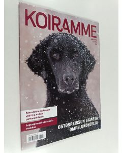 käytetty kirja Koiramme 12/2024