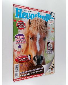 käytetty teos Hevoshullu 4/2016
