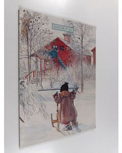 käytetty kirja Glimtar av jul