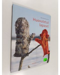 Kirjailijan Anna-Karoliina Tetri käytetty kirja Huovutetut lapaset