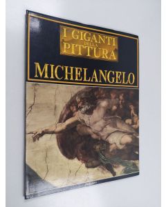 käytetty kirja Michelangelo