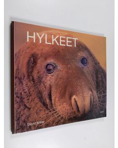 Kirjailijan David Miller käytetty kirja Hylkeet